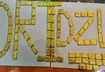 DRI की बड़ी कार्रवाई: 29 किलो विदेशी सोना और ₹2.9 करोड़ नकद जब्त, तस्करी का तार बांग्लादेश–दुबई से जुड़ा