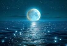 Full Moon Birth Astrology 2026: पूर्णिमा पर जन्म लेने वालों का जीवन कैसा होता है? जानिए किन राशियों पर रहती है चंद्रमा की विशेष कृपा