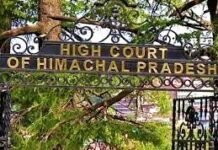 HP पंचायत चुनाव पर हाईकोर्ट में सरकार का जवाब: चुनाव कराने के लिए चाहिए कम से कम छह महीने का समय