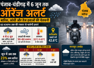 पंजाब-चंडीगढ़ में 6 जून तक ऑरेंज अलर्ट, 60 KMPH की रफ्तार से चलेंगी हवाएं; कई जिलों में बारिश के आसार