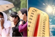 Punjab Weather News: पंजाब में फिर परेशान करेगी गर्मी, 7 दिन तक थमा रहेगा मानसून