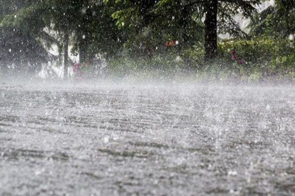 Rain