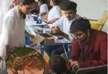 गुजरात में चांदीपुरा वायरस का कहर, 22 बच्चों की मौत से मचा हड़कंप; 35 मामलों की पुष्टि, एडवाइज़री जारी