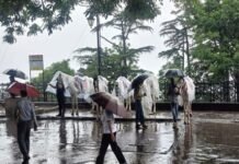 Uttarakhand Weather Update: उत्तराखंड में भारी बारिश, 5 ज़िलों में स्कूल बंद
