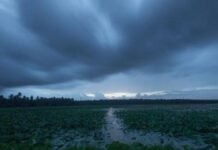 Punjab Weather Update: पंजाब में मानसून सक्रिय, आज कई जिलों में बारिश की संभावना