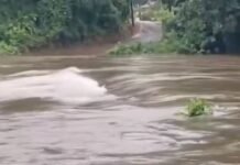 केरलम और कर्नाटक में लैंडस्लाइड से 11 की मौत, 8 लोग लापता, कई लोग घायल