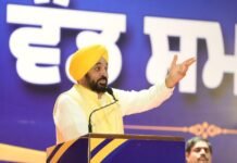 ना कैश, ना फरमाइश: CM भगवंत मान ने 866 नौजवानों को सौंपे सरकारी नौकरियों के नियुक्ति पत्र