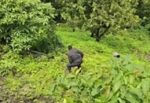 नासिक में गर्लफ्रेंड ने लिव-इन पार्टनर का गला रेतकर की हत्या, 18 घंटे शव घर पर रखने के बाद कसारा घाट में फेंका