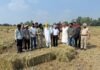 गुरमीत सिंह खुड्डियां ने गुरदासपुर के खेतों में पराली की गांठें बनाकर पंजाब के किसानों से पराली न जलाने की अपील की