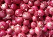 Onion Prices Hike: देश में प्याज की कीमतें तेजी से उछाल, 3 महीने में 82% महंगी