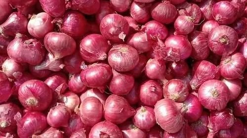 fresh-red-onions-319