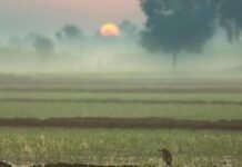 Punjab Weather News: पंजाब में अगले दो दिनों के लिए बारिश की चेतावनी; बढ़ेगी ठंड
