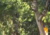 Breaking: जंतर-मंतर पर CJP कार्यकर्ताओं की एंट्री, अशोक रंका समेत कई हिरासत में