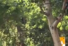 Breaking: जंतर-मंतर पर CJP कार्यकर्ताओं की एंट्री, अशोक रंका समेत कई हिरासत में