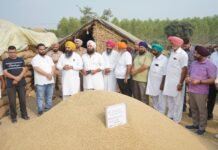 किसानों की फसल का एक-एक दाना खरीदने के लिए मान सरकार वचनबद्ध: डिप्टी स्पीकर रौड़ी