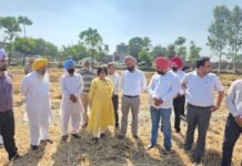 PPCB की चेयरपर्सन रीना गुप्ता ने शेरों गांव में किसानों से किया संवाद, धान की पराली जलाने से रोकने के लिए सामूहिक प्रयासों की अपील